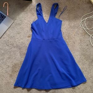 Express Skater Dress